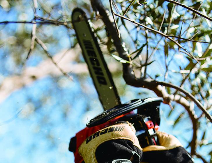CHAINSAW ECHO CS-280TES/25cm 