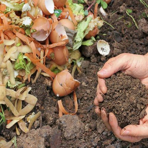 FLORCOMPOST (MICROORGANISMS FOR COMPOSTING)